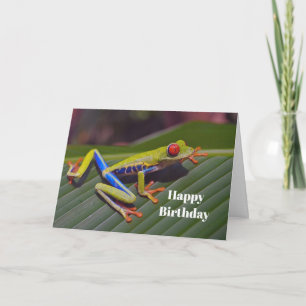 Cartão Frog Red Eye Photo Birthday