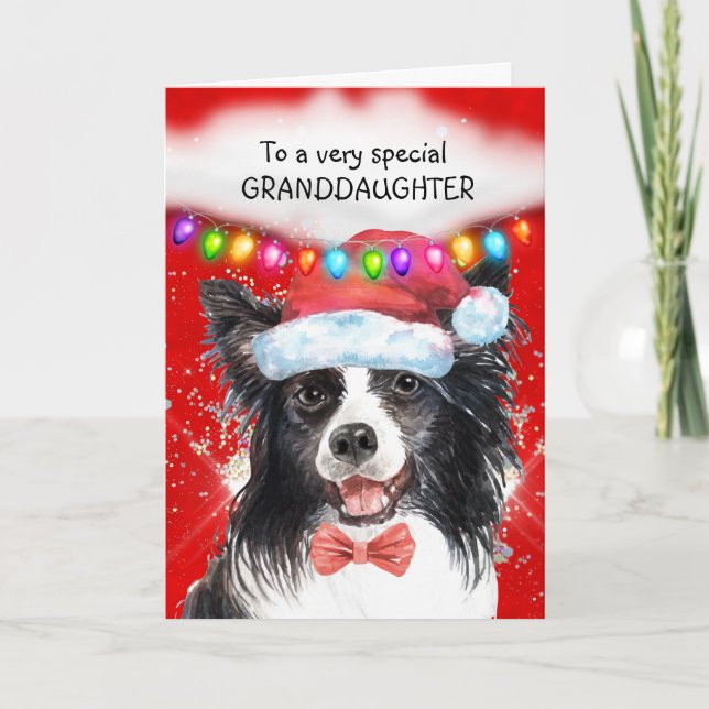 Cartão Fronteiras da neta Collie, neta do doce Xmas (Frente)