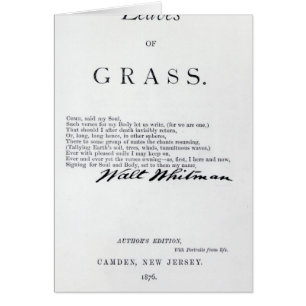 Cartão Frontispiece 'às folhas das gramas