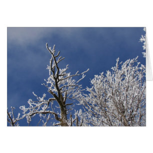 Cartão Frosty Iowa Tarde