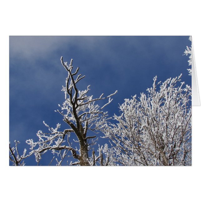 Cartão Frosty Iowa Tarde (Frente Horizontal)
