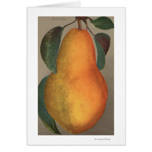 Cartão Fruta Cromo Lithógrafo de Bartlett Pear