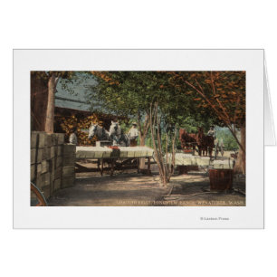 Cartão Fruta de carregamento no rancho de Longview