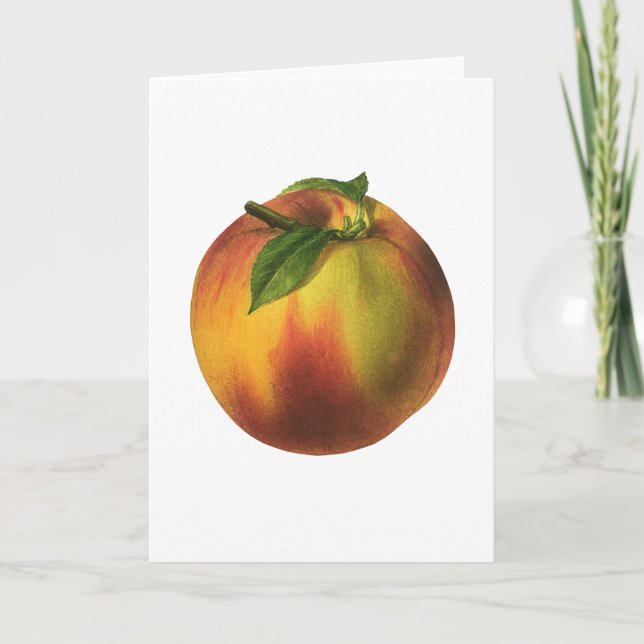 Cartão Fruta de Comida, Pêssego Orgânico Elevado com Folh (Frente)
