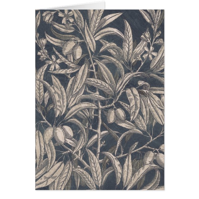 Cartão Fruta e Floral I (Frente)