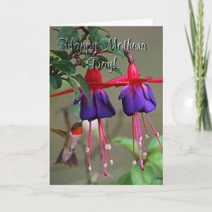 Cartão Fuchsia and Hummingbird Mothers Day