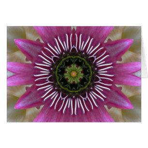 Cartão Fuchsia Mandala Fireworks