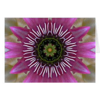 Cartão Fuchsia Mandala Fireworks