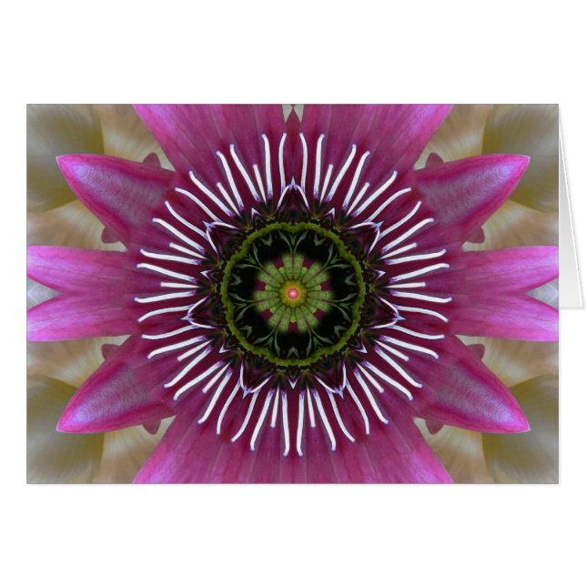 Cartão Fuchsia Mandala Fireworks (Frente Horizontal)
