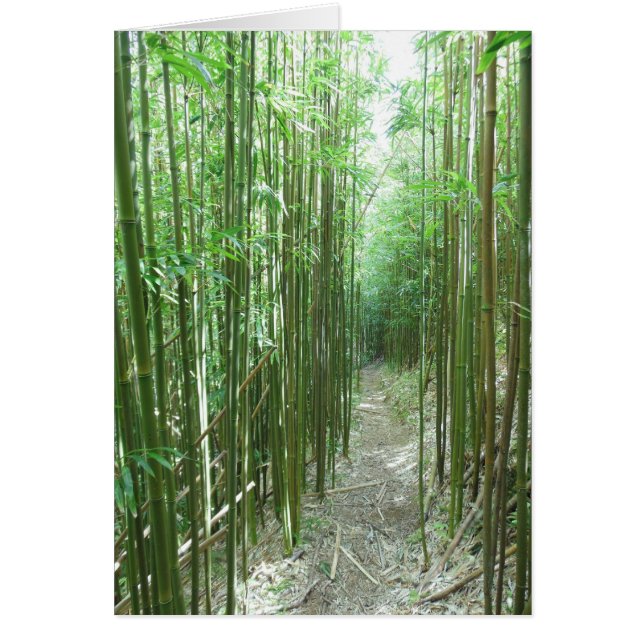 Cartão Fuga de bambu (Frente)