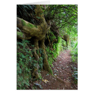 Cartão Fuga de caminhada havaiana