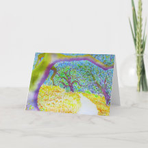 Fuga regional do parque da montanha de Taylor