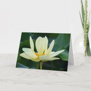 Cartão Full Lotus Card