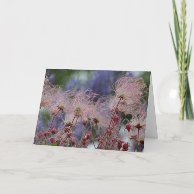 Cartão Fumo de pradaria (Frente)