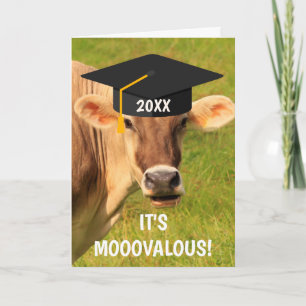 Cartão Fun And Silly Cow Graduation