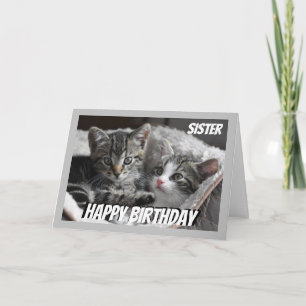 Cartão Fun Heart to Heart Sister Birthday Cat Animal