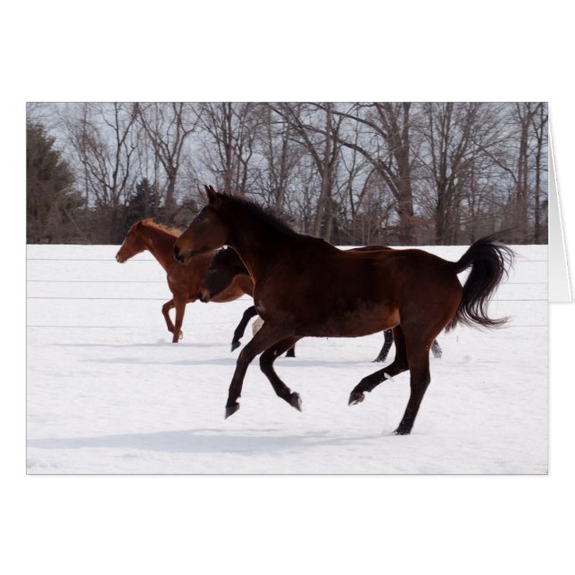 Cartão Funcionamento da neve do zen de B (Frente Horizontal)