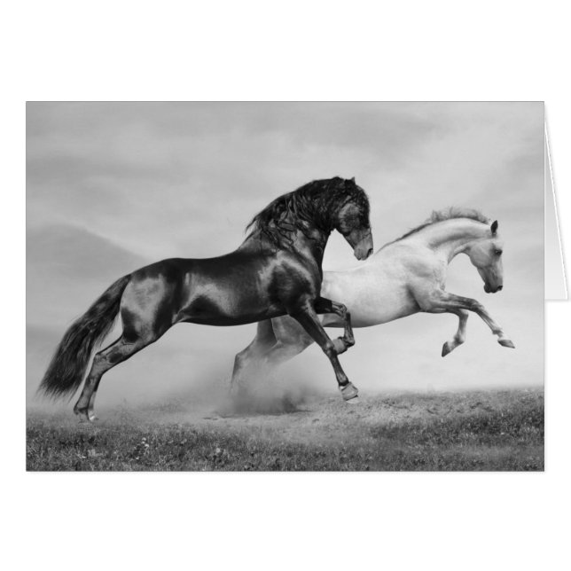 Cartão Funcionamento dos cavalos (Frente Horizontal)