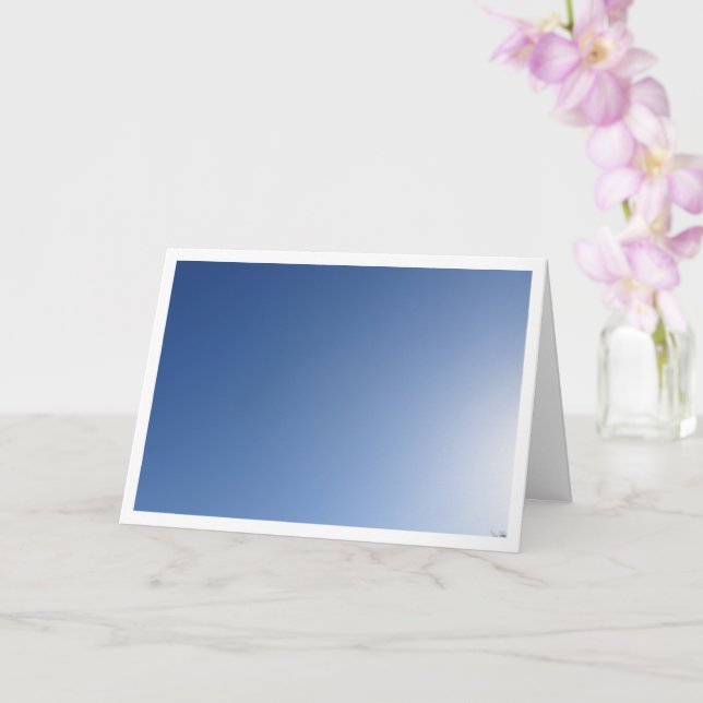 Cartão Fundo do Céu Azul Sunny (Orquídea)