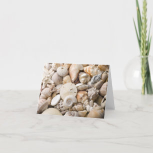 Cartão Fundo do Mar da Flórida - Prateleiras Personalizad