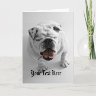 Cartão Funky Bulldog Template -Birthday Congratulations