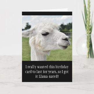 Cartão Funny Alpaca Llama Birthday