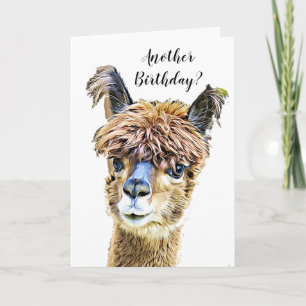 Cartão Funny Alpaca Llama Humor Birthday