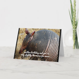 Cartão funny armadillo birthday card humor