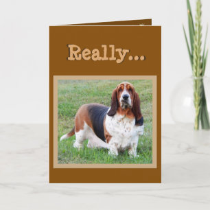 Cartão Funny Basset Hound "Dog Years" Birthday Card
