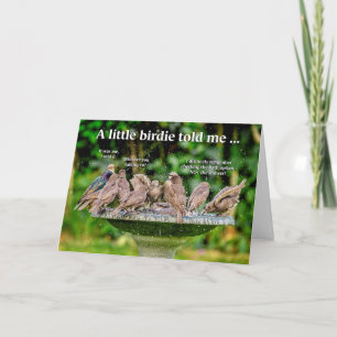 Cartão Funny Bathing Birds Birthday Card