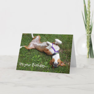 Cartão Funny Beagle Mix Birthday Card
