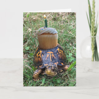 Cartão Funny Belated Birthday Card