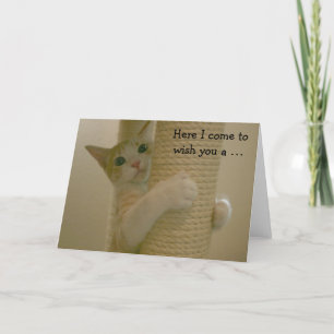 Cartão Funny Birthday Card with climbing Cat