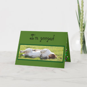 Cartão Funny Birthday Card with Sleeping Basset Hound