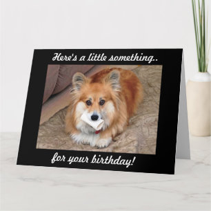 Cartão Funny Birthday Corgi com Osso