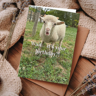 Cartão Funny Birthday Sheep Surprise face Farm Animal 