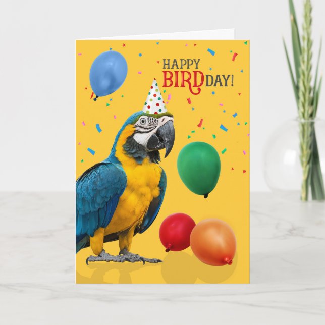 Cartão Funny Blue and Gold Macaw Parrot Birthday (Frente)