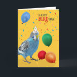 Cartão Funny Blue and White Budgie Parakeet Birthday<br><div class="desc">Budgies are popular pets,  being small and sweet parakeets in a varying palette of colors and markings. This cute blue and white Budgerigar sends happy BIRDday wishes to the bird person in your life.</div>
