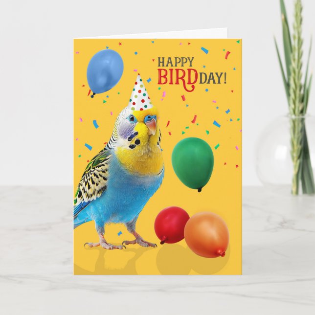 Cartão Funny Blue and Yellow Budgie Parakeet Birthday (Frente)