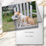Cartão Funny Bulldog Birthday<br><div class="desc">Um cachorro-touro gordo e sonolento se infiltra numa velha cadeira de grama de madeira na frente desta engraçada carta de aniversário. O texto em branco diz "É o seu aniversário?". O dentro diz "estou sobrecarregado" e depois, em texto em itálico menor, "Espero que seja feliz!" Todo o texto, frente e...</div>