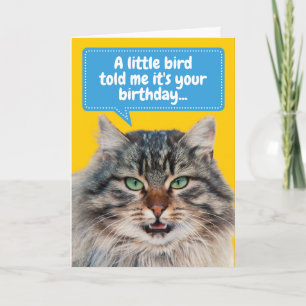 Cartão Funny Cat Ate Bird Birthday Greeting