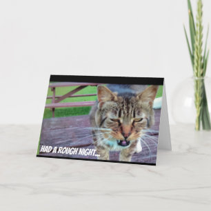 Cartão Funny Cat Birthday Card