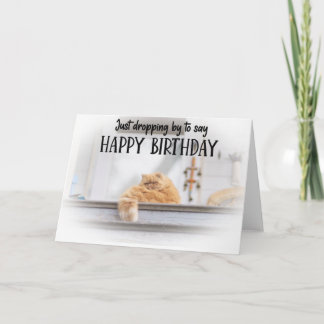 Cartão Funny Cat Birthday Greeting Card 