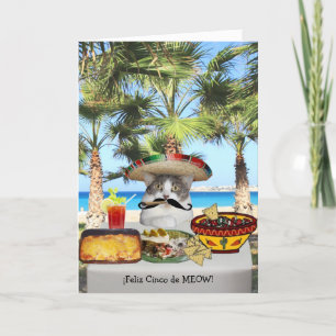 Cartão Funny Cat Happy Cinco de Mayo