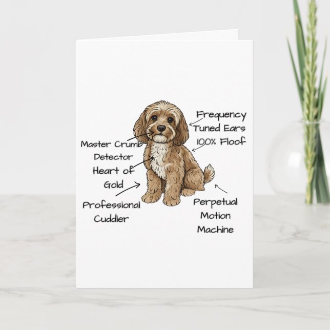Cartão Funny Cockapoo Anatomy Greeting Card (Frente)