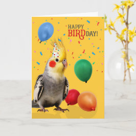 Cartão Funny Cockatiel Parrot Birthday Humor