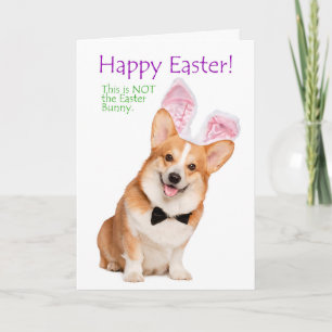 Cartão Funny Corgi Easter Card