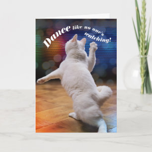 Cartão Funny Dancing Cat - No One's Watching Birthday