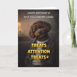 Cartão Funny Dog Birthday Card Treats Attention Cockapoo