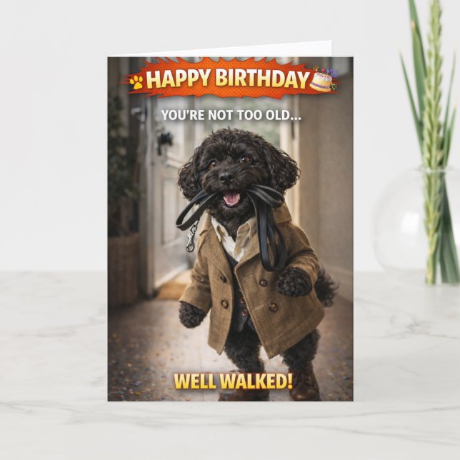Cartão Funny Dog Birthday Card Well Walked Cockapoo (Frente)